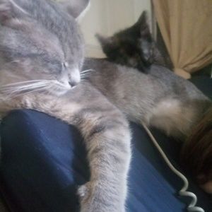 Meet your Posher, Barbara